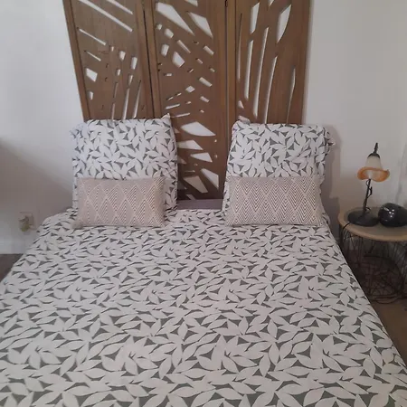23 M2, Proche Centre, Calme, Wifi, Pk דירה